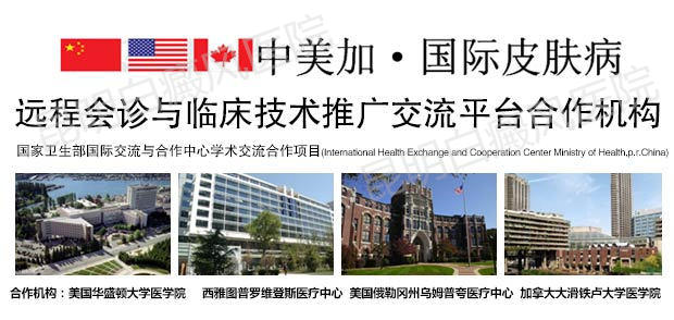 汇聚全球顶尖医学力量,共建国际远程会诊平台